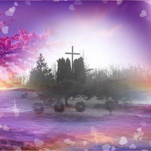 Meet your Posher, Renae